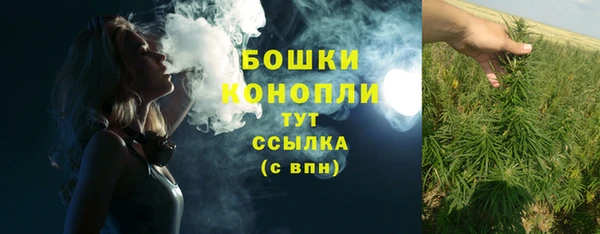 ПСИЛОЦИБИНОВЫЕ ГРИБЫ Алексеевка