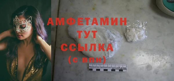 метадон Алексин