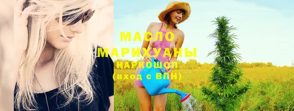 индика Пересвет